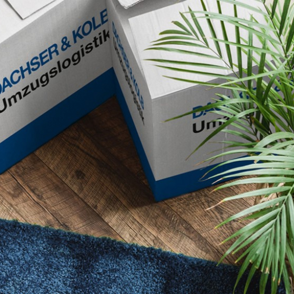 DACHSER & KOLB: Umzugskartons