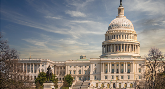 Emigrate to the USA: Politics