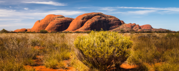 Emigrate to Australia: Politics