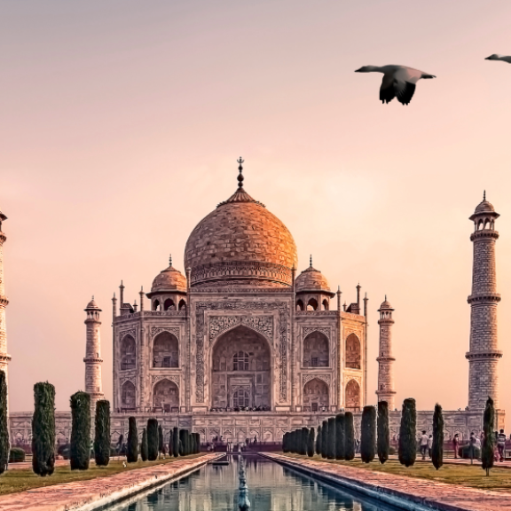 Emigrate to India