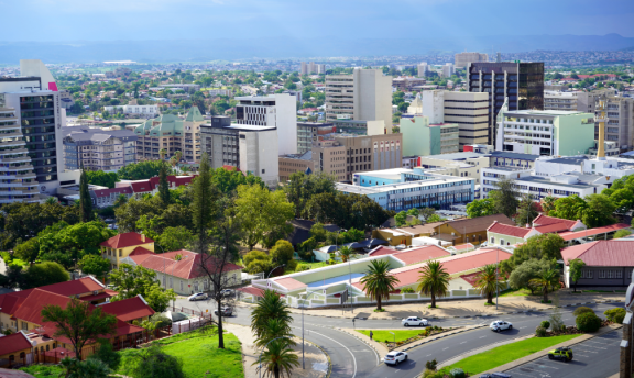 Emigrating Namibia: Politics