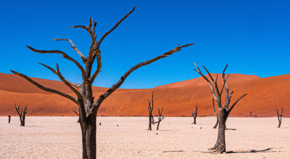 Emigrating Namibia: Big Daddy Dune