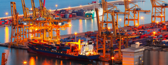 Zollhafen bei internationalem Umzug