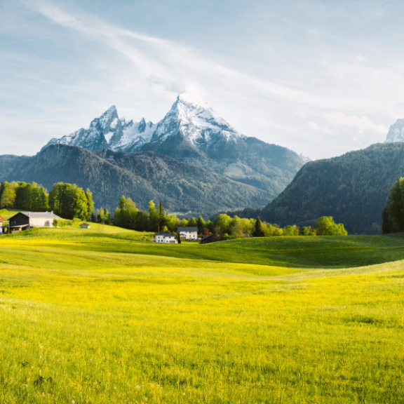 Emigrate to Austria