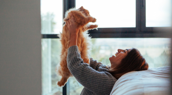 Umzug mit Freigängerkatze
