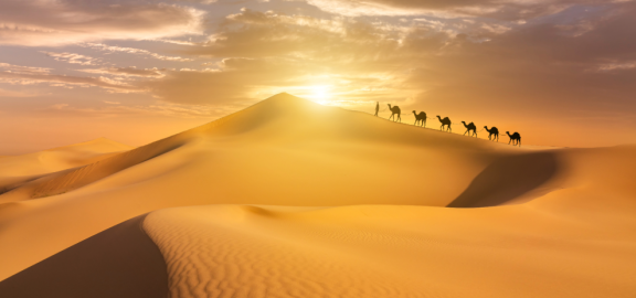 Emigrate to Tunesia: Climate