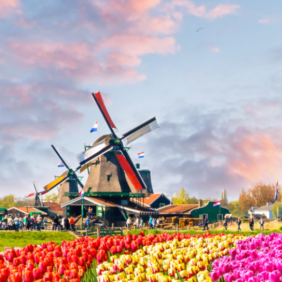 Emigrate to the Netherlands