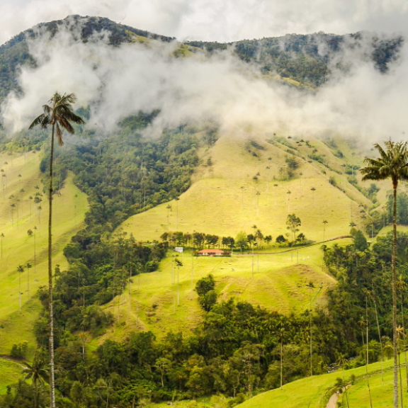 Emigrate to Colombia