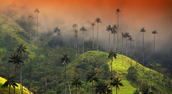 Emigrate to Colombia: Climate