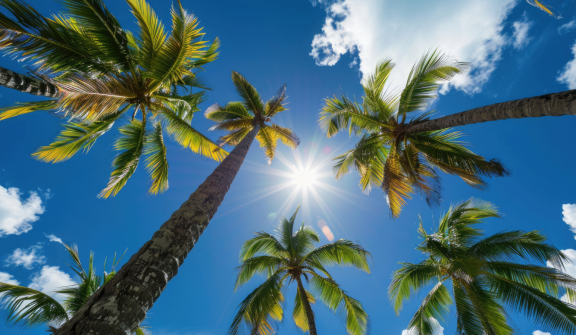 Emigrating to Dominican Republic: Climate