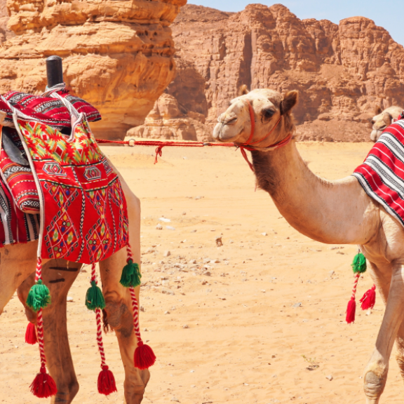 Emigrating to Saudi Arabia