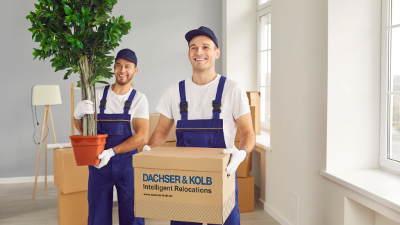 Professionelle Umzugsunternehmen vs. selbstorganisierter Umzug
