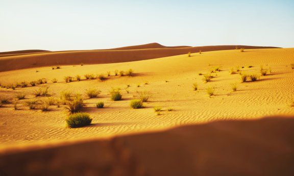 Emigrating to Oman: Climate