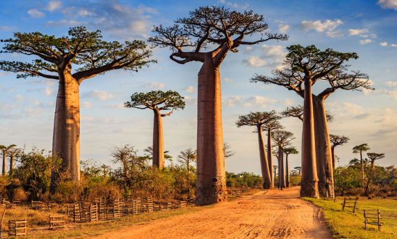 Emigrate to Madagascar: Climate